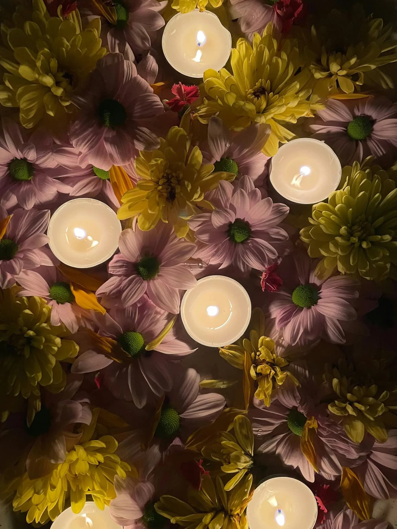Lit candles among pink and yellow flowers